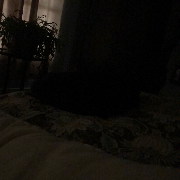 melissawatki527